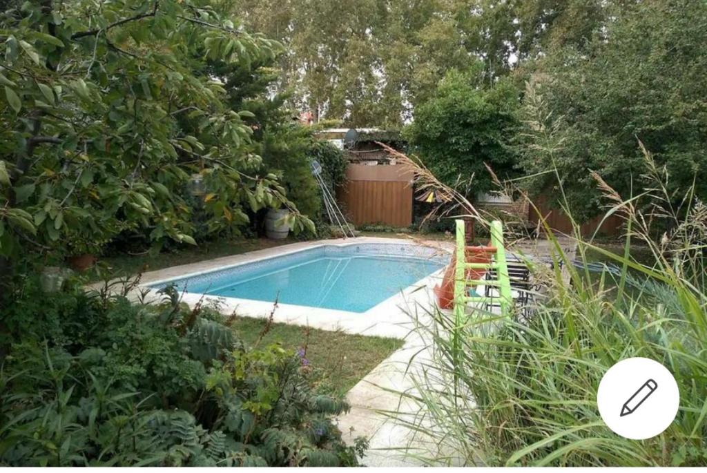 una pequeña piscina en un patio con plantas en Centrico y privado en San Rafael