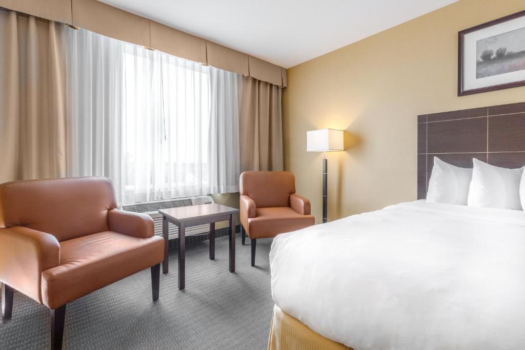 Quality Inn & Suites - King Room - Toegang Van Gehandicapten/niet -roken
