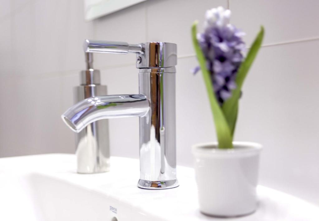 "Son Cleda" House Boutique, adults only - 5