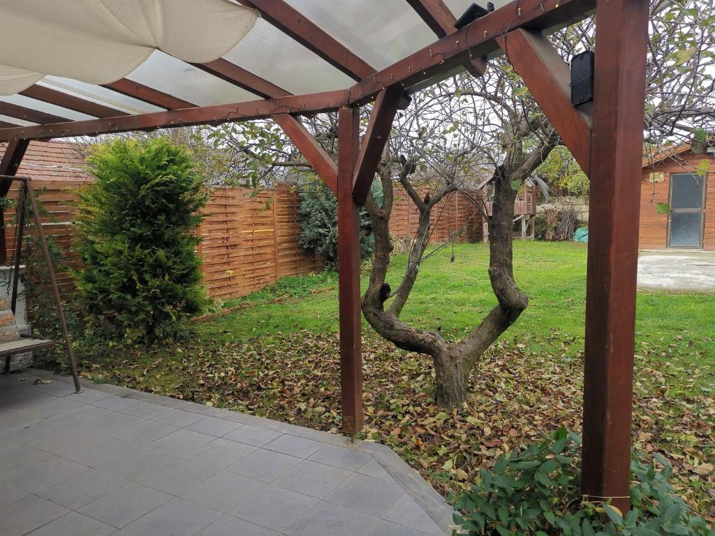A garden outside Erika's House.