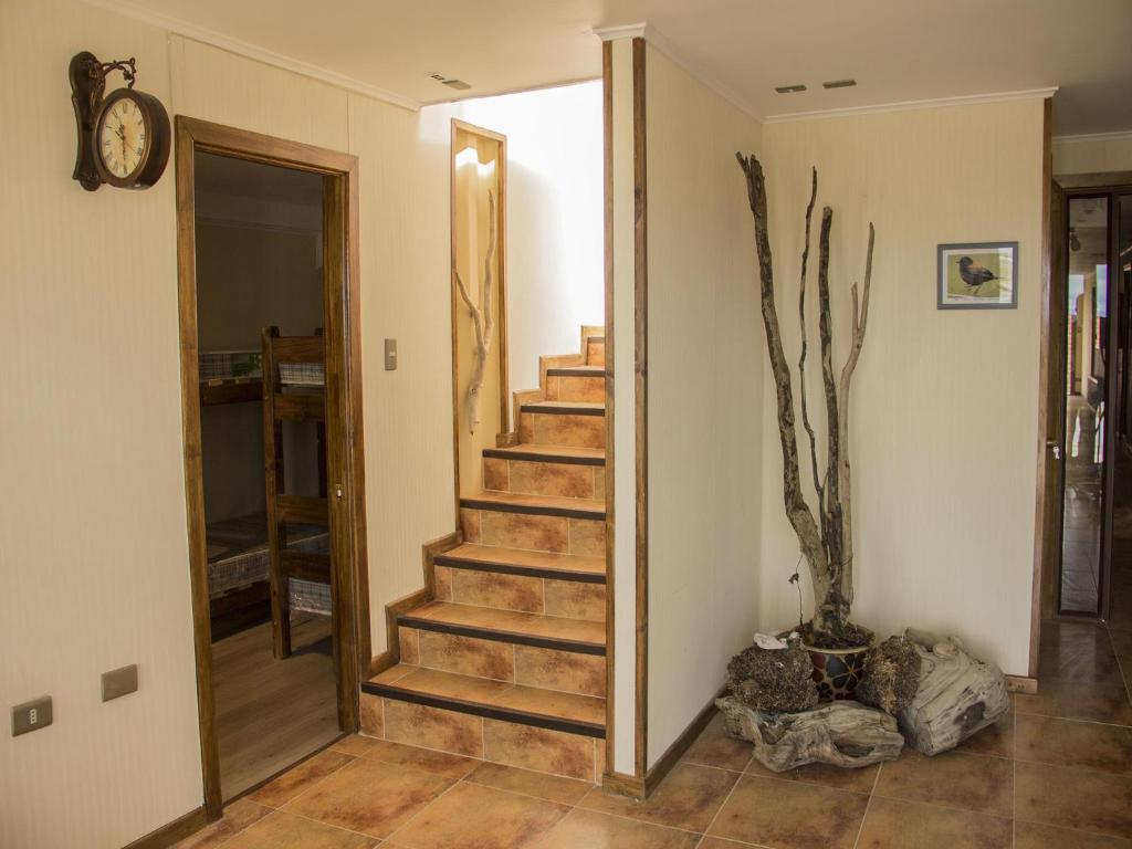Imagem da galeria de Hostel Entre Vientos em Punta Arenas
