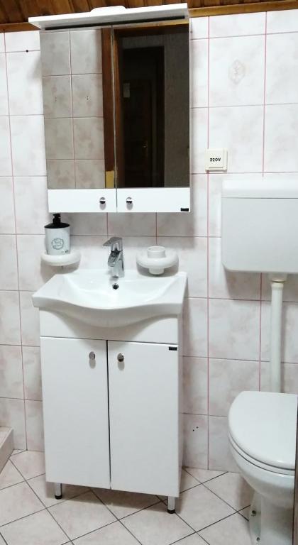 Guest House Vila Alexandar - 