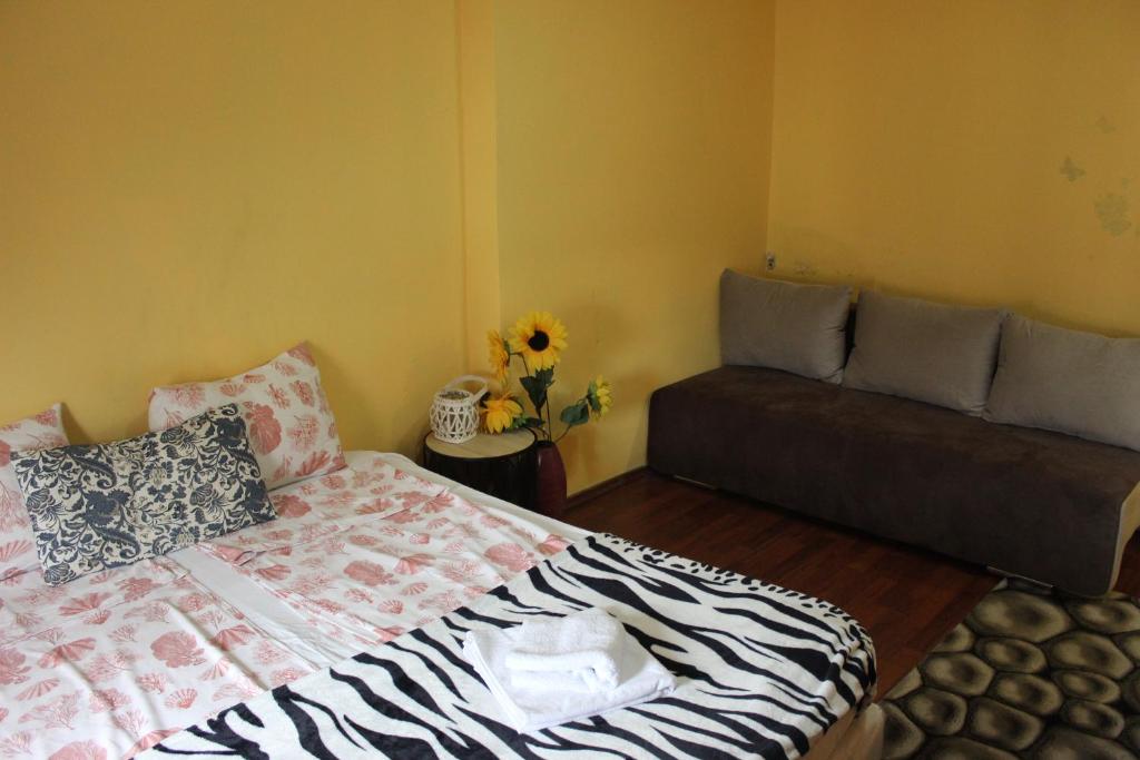 Vitoshka Biggest Apartment