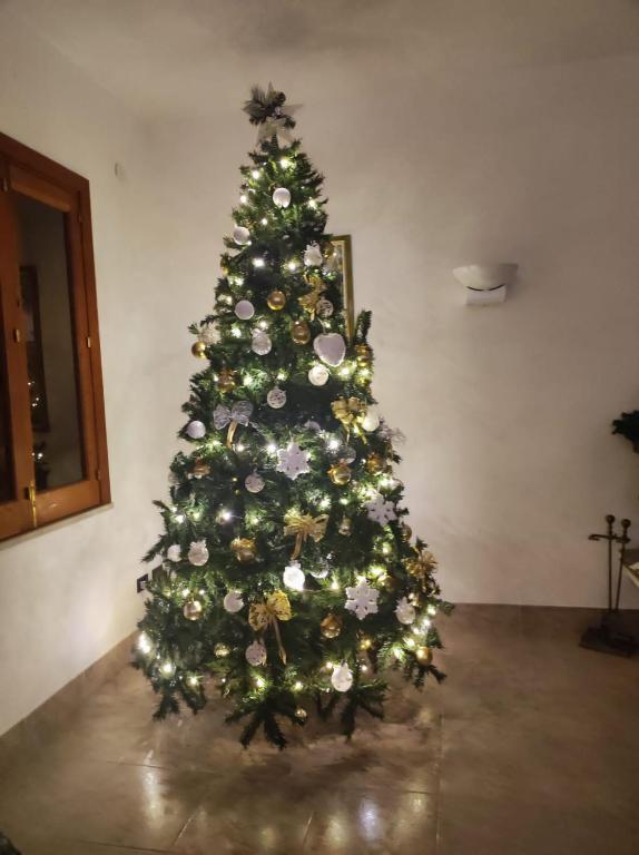 Fotografie z fotogalerie ubytování VILLA VEGA v destinaci Fontane Bianche