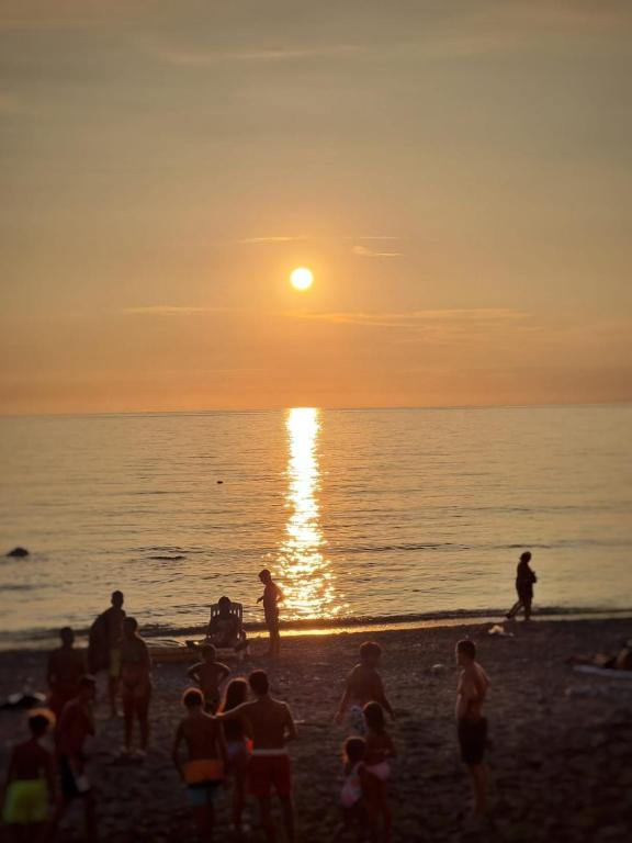 Príroda v okolí apartmánu