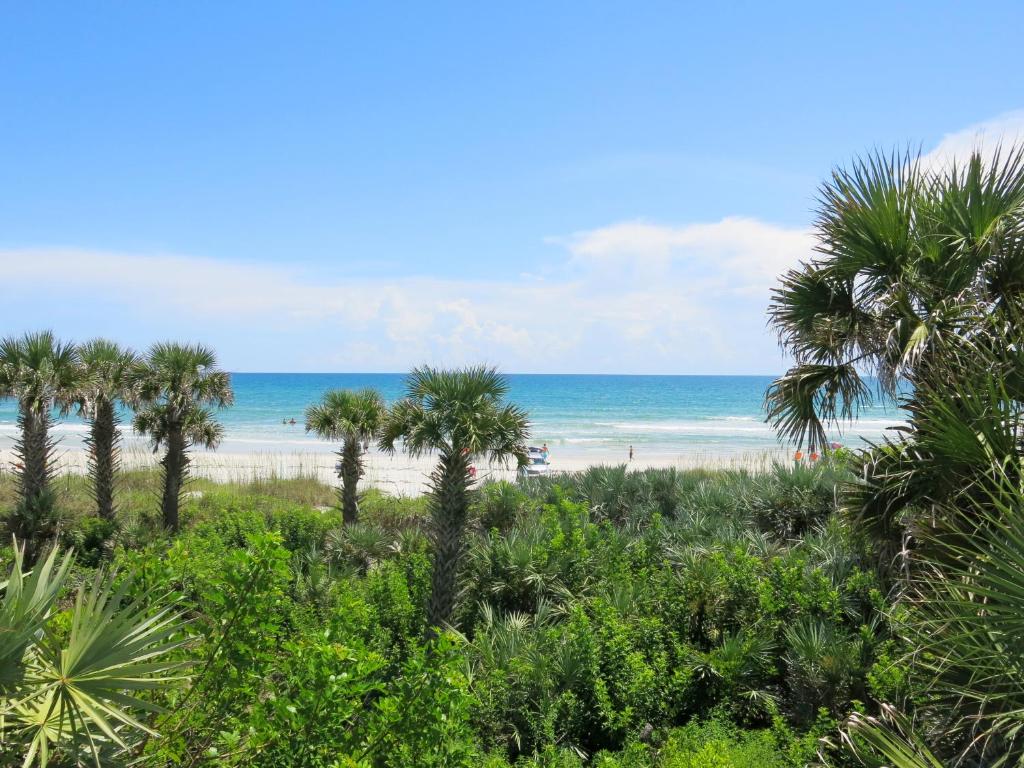 New Smyrna Waves MOD Collection by Sonesta photo