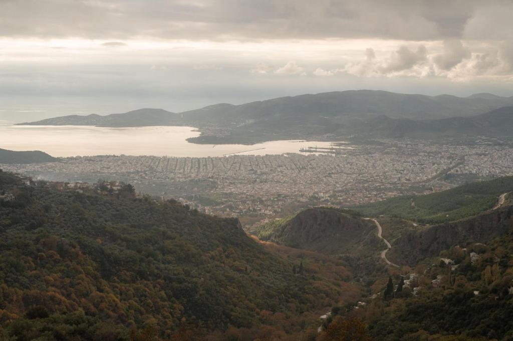 - une vue sur la ville et une étendue d'eau dans l'établissement The Fern House, à Makrinitsa