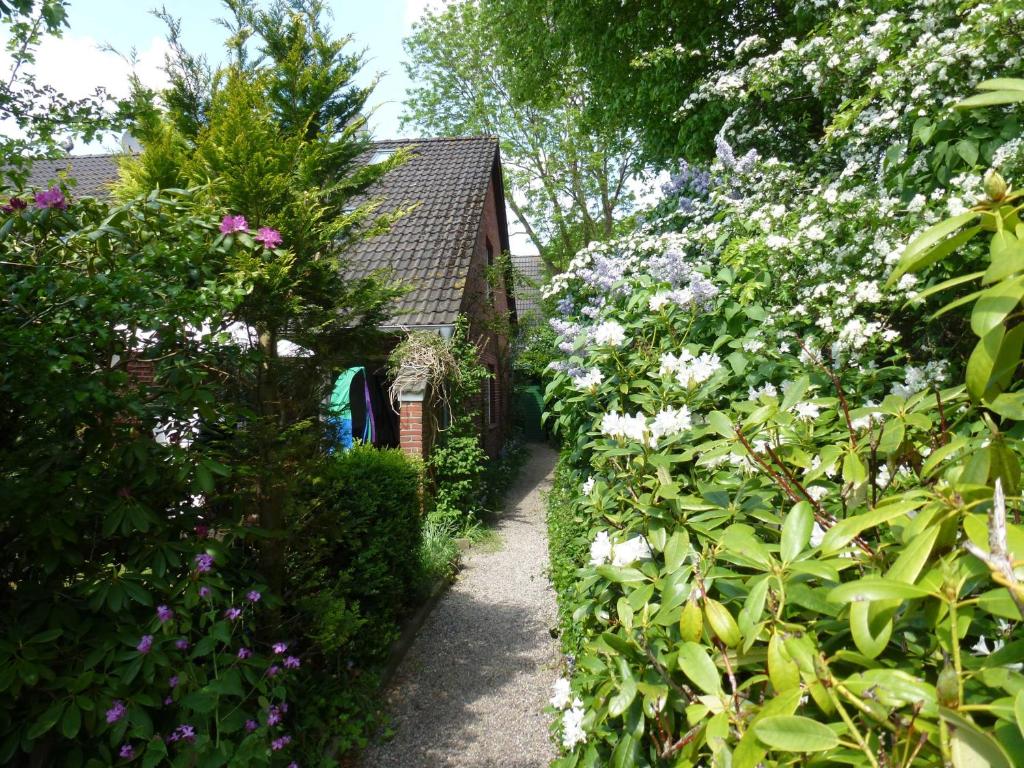 un jardin fleuri et un chemin dans l'établissement Appenzeller, S u A , Ferienhaus Dangaster Tied 1, à Dangast