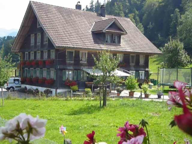 ein großes Haus auf einem Feld mit Blumen davor in der Unterkunft B&B Hofstetter in Schachen