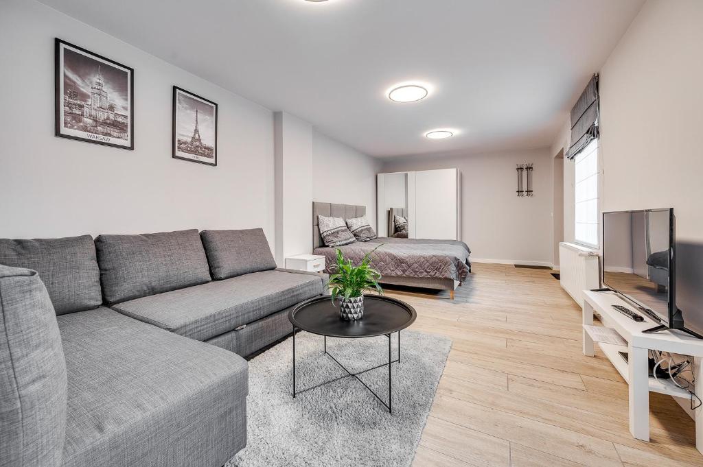 un soggiorno con divano e TV di Central Platinum Apartments 19 a Rybnik