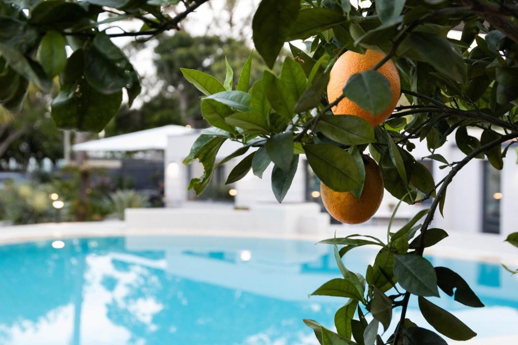 Bazén v ubytování Villa Masetta - Luxury Suites nebo v jeho okolí