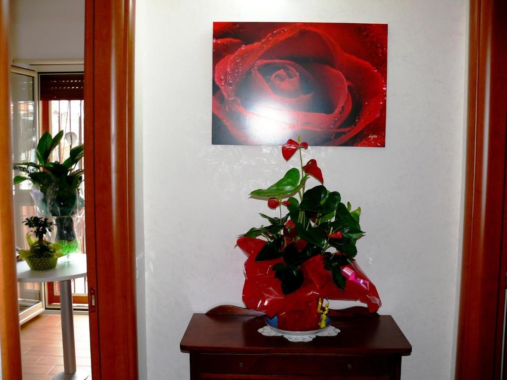 Fotografie z fotogalerie ubytování B&B Max v destinaci Messina