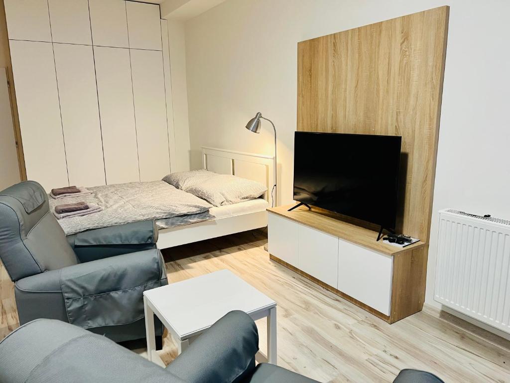 A television and/or entertainment centre at Apartmán Liptov NP9