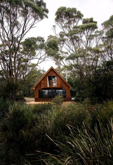 a small wooden house in the middle of trees at Periwinkle at Great Bay in Great Bay
