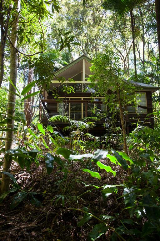 Songbirds Rainforest Retreat, Mount Tamborine Updated 2024 Prices