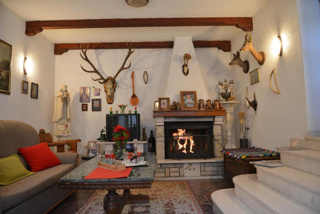 a living room with a fireplace and a couch at Sneža in Apatin