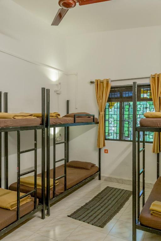 a group of bunk beds in a room at BunkNBrew in Palolem
