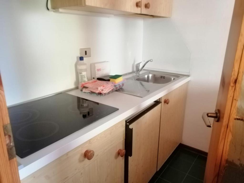 una cocina con fregadero y encimera en Residence Hotel 4s Montagna, en Cogolo