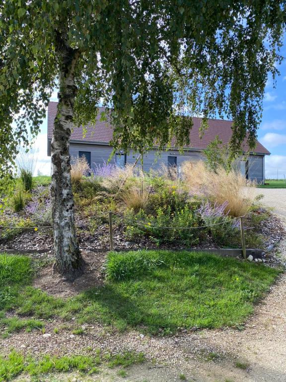 un árbol frente a una casa con plantas en Les Bois de Champagne L'industriel en Magnant