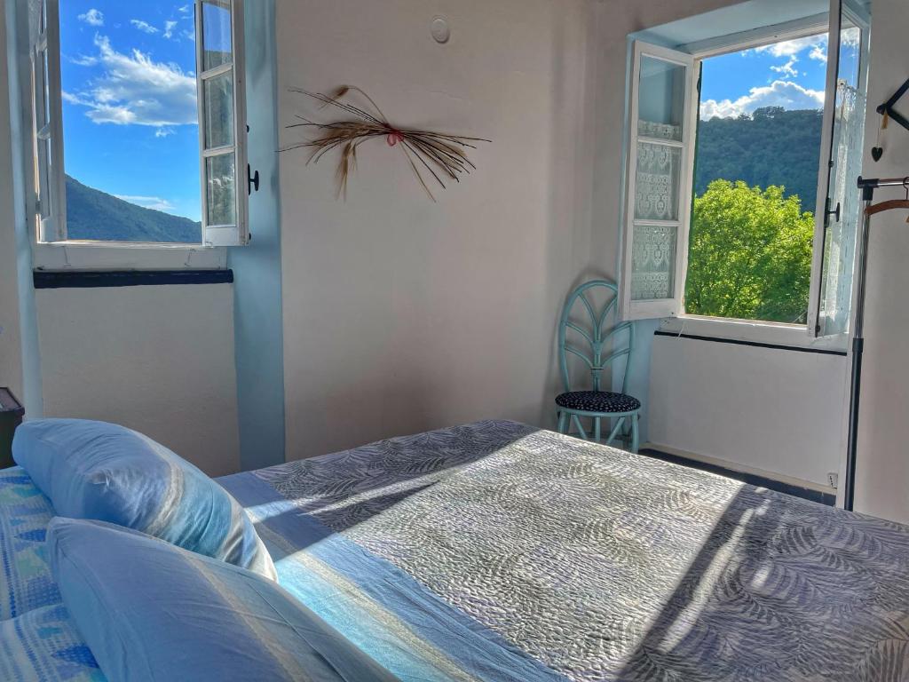ein Schlafzimmer mit einem Bett und zwei Fenstern in der Unterkunft La casa con giardino tra borghi, boschi cascate e natura in Borzonasca