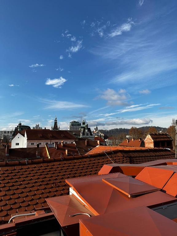 The Hotel Ljubljana - Resim 24