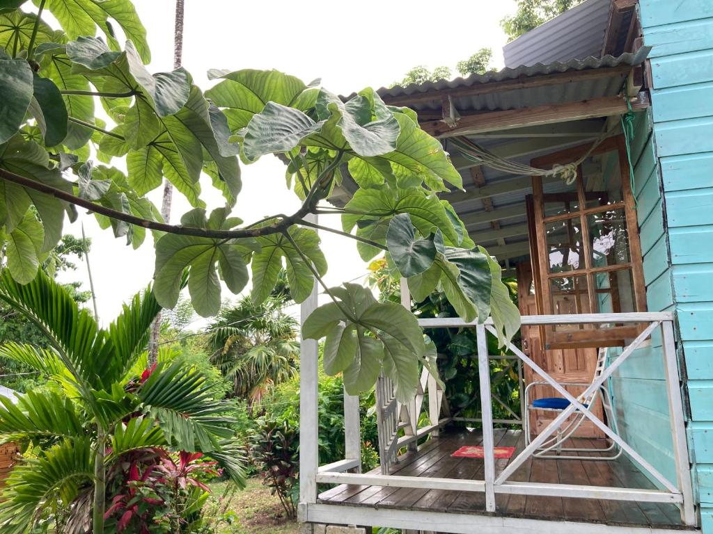 The Likkle Nature Queen Cottage - One-Bedroom House