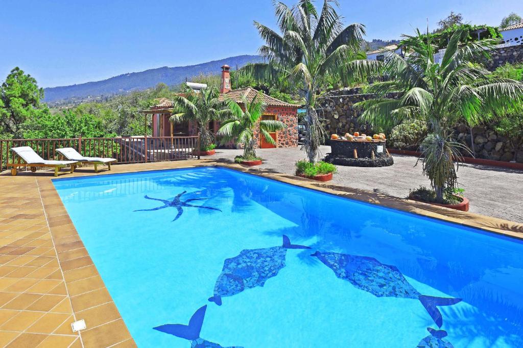 a swimming pool with sharks in the water at Casa Tia Rosalia in Tijarafe