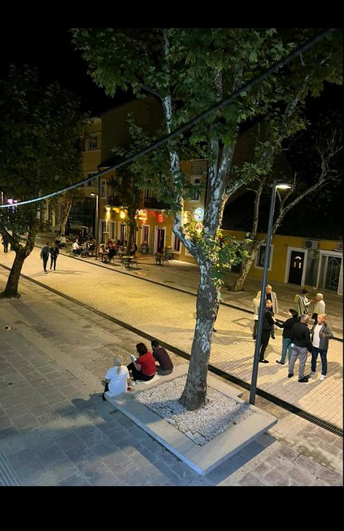 Apartment Center 23 - 15