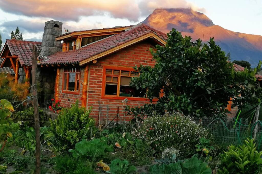 a log cabin with a mountain in the background at Cabaña Puñushiki kalera Lodge 