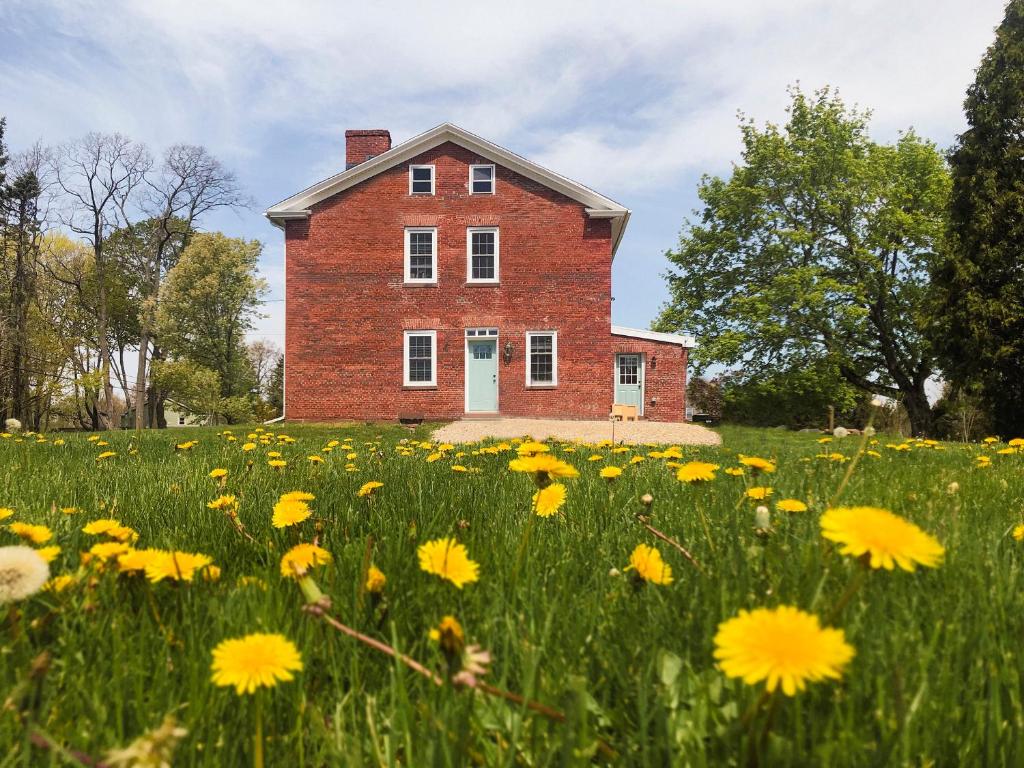 ein altes Backsteinhaus auf einem Feld gelber Blumen in der Unterkunft Farmhouse Broad Brook: Comfort & Charm. in East Windsor