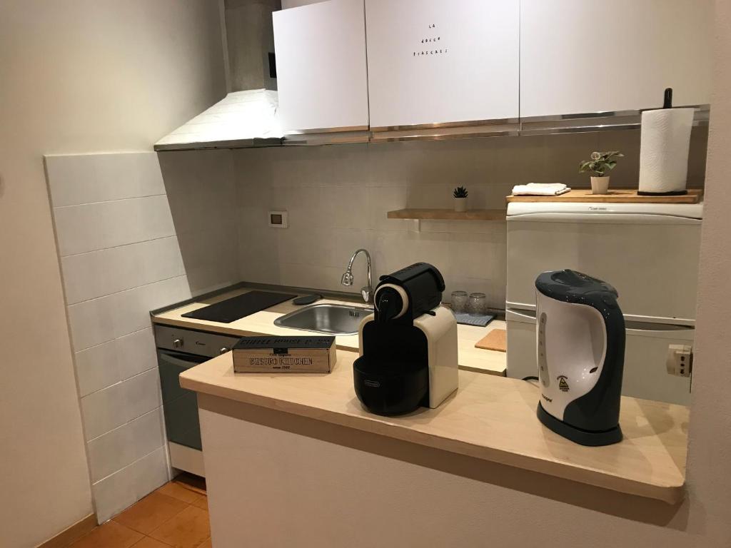 eine Küchentheke mit einem Mixer und einem Waschbecken in der Unterkunft La dolce Frascati Home in Frascati