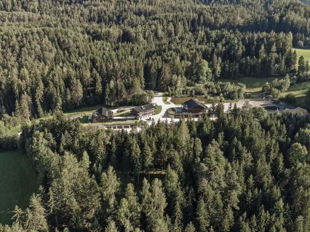 Przyroda w pobliżu tego apartamentu