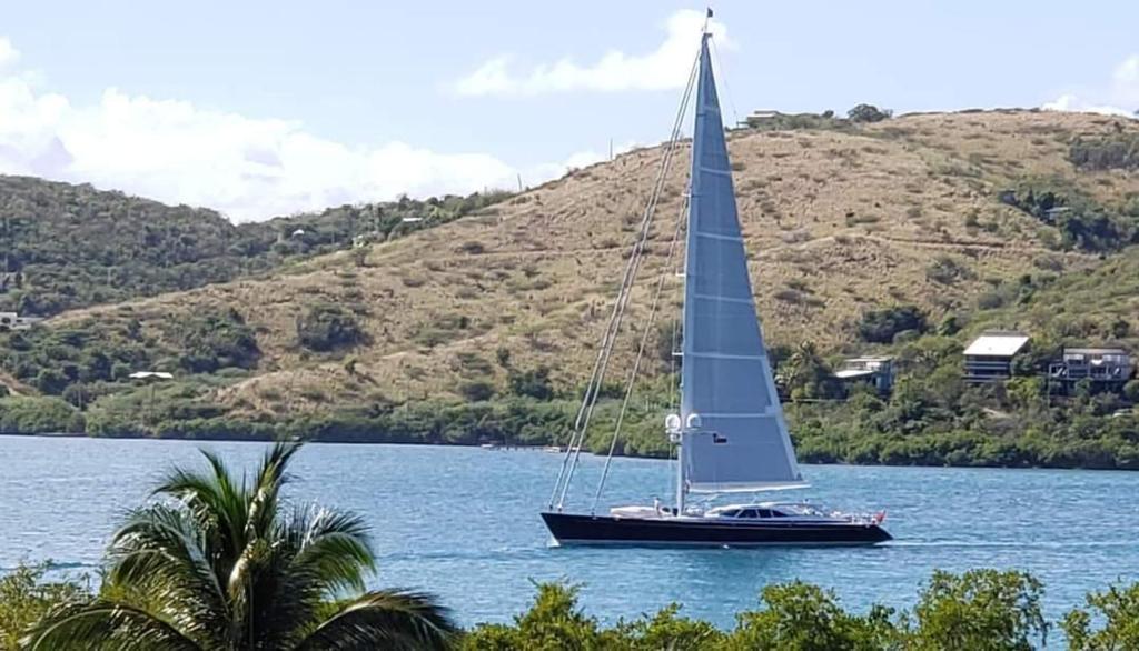 a sail boat on a lake with a palm tree at FunSea Water View Apt in Culebra