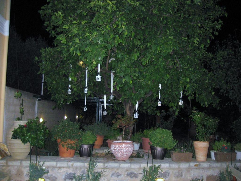 Zahrada ubytování Nostos Hotel