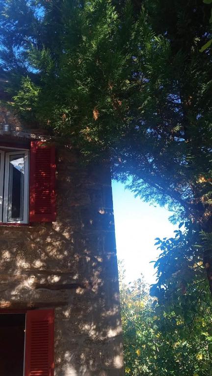 Budova, v ktorej sa vila nachádza