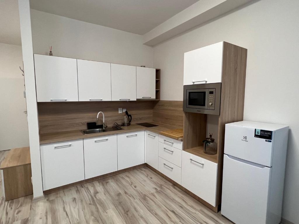 Kuchyň nebo kuchyňský kout v ubytování Apartman Liptov NP14