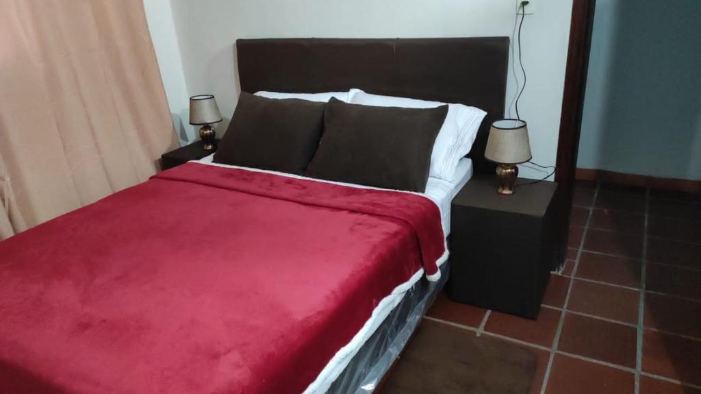 1 dormitorio con 1 cama grande con manta roja en Pequeño departamento en Asunción