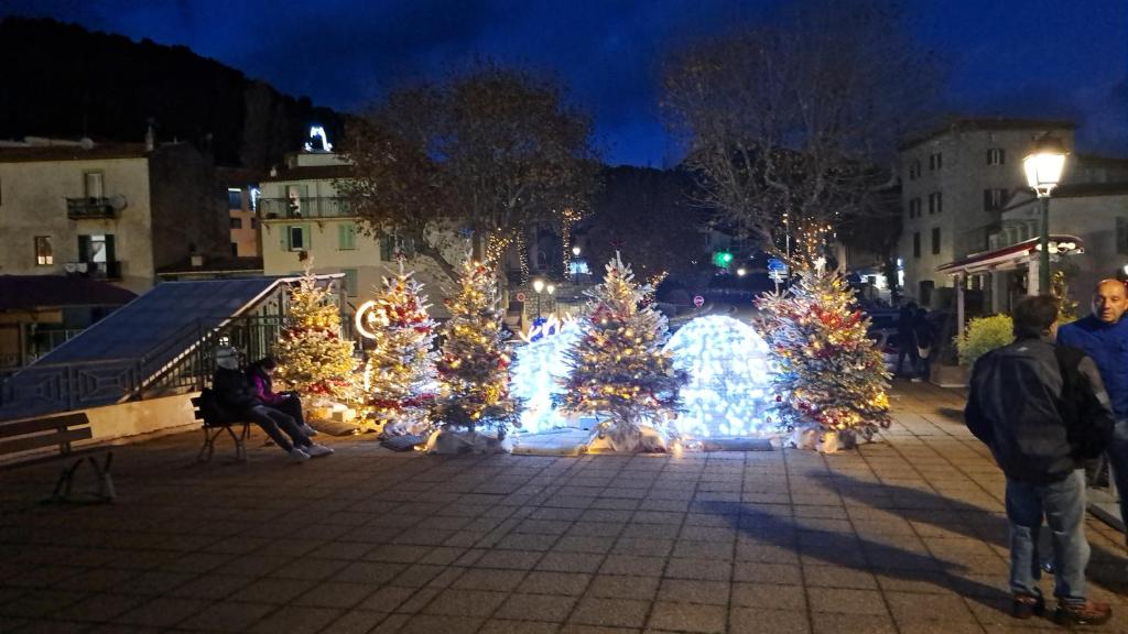 a group of christmas trees with lights on a city street at Monaco Grand Prix Nouveau in Beausoleil