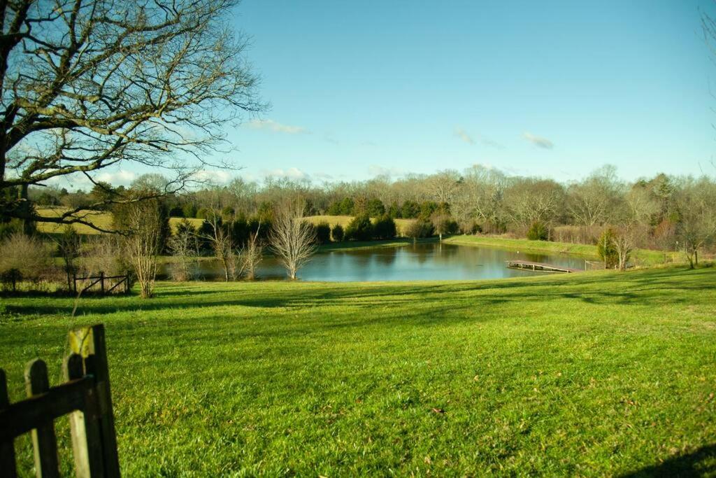 un parc avec banc en face d'un lac dans l'établissement Copper Sky Farm - The Ultimate Country Retreat, 