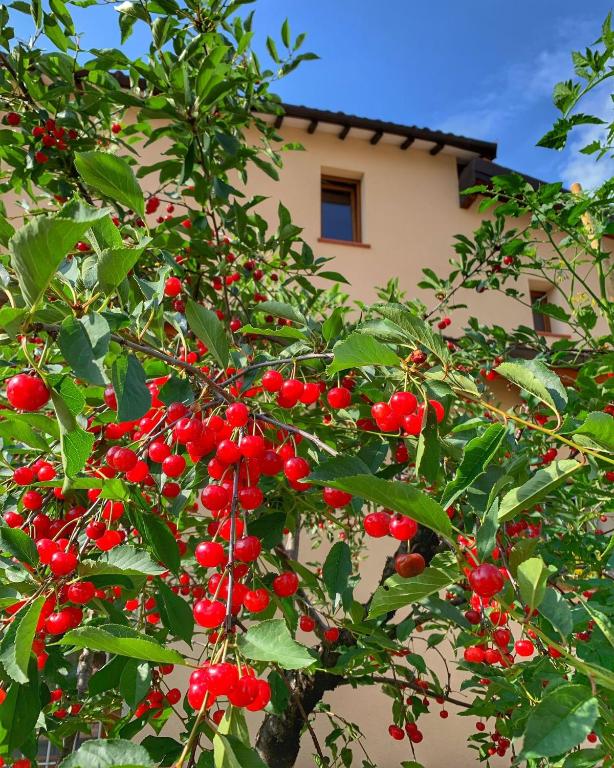 Zahrada ubytování Casa Due Marie Marano sul Panaro