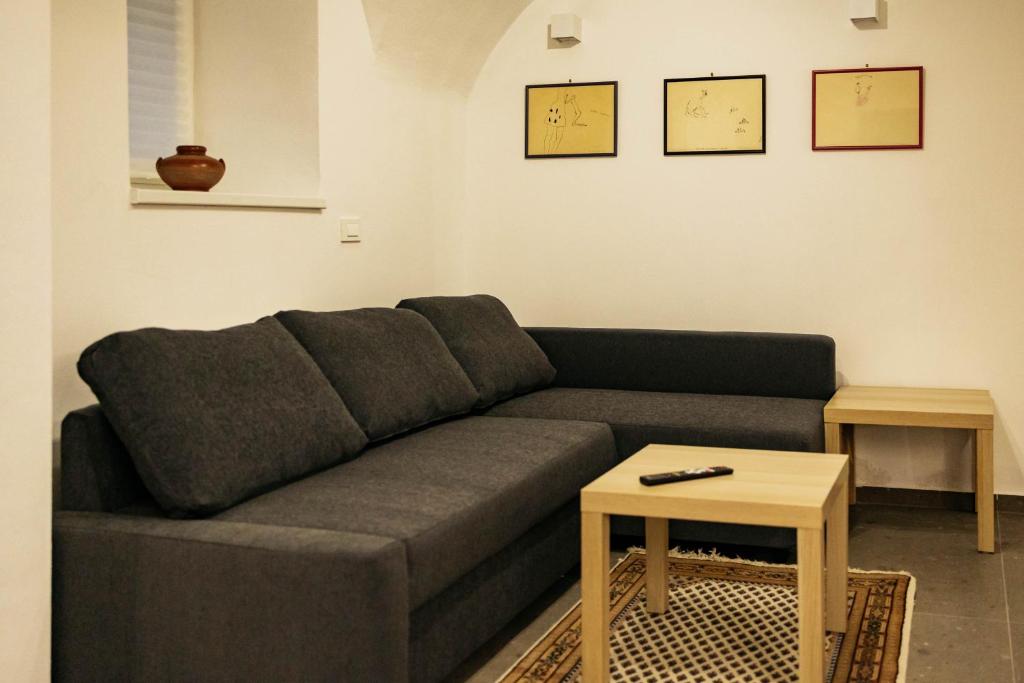 Vila Jakopič apartments - Appartement D'une Chambre