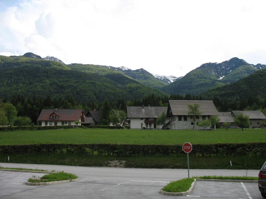 Příroda nedaleko apartmánu