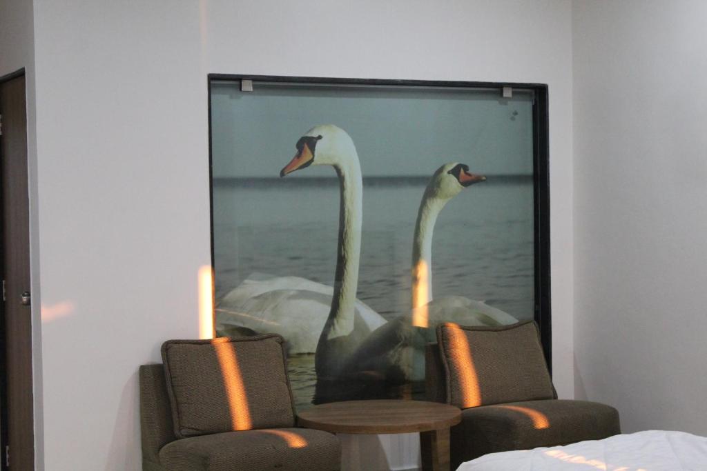 a picture of two swans in the water with candles at Flamingo Club and Resort Una 3 Km Away from Diu Check Post in Diu