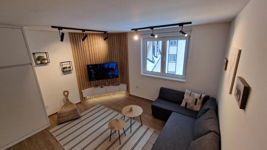 uma sala de estar com um sofá e uma televisão em Xenia Apartment em Kopaonik