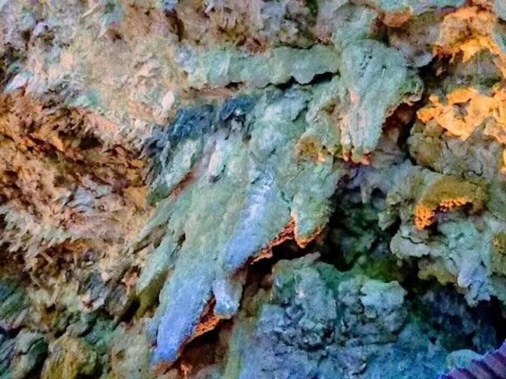 Fotografie z fotogalerie ubytování Nasushiobara Ichimantei v destinaci Nasushiobara