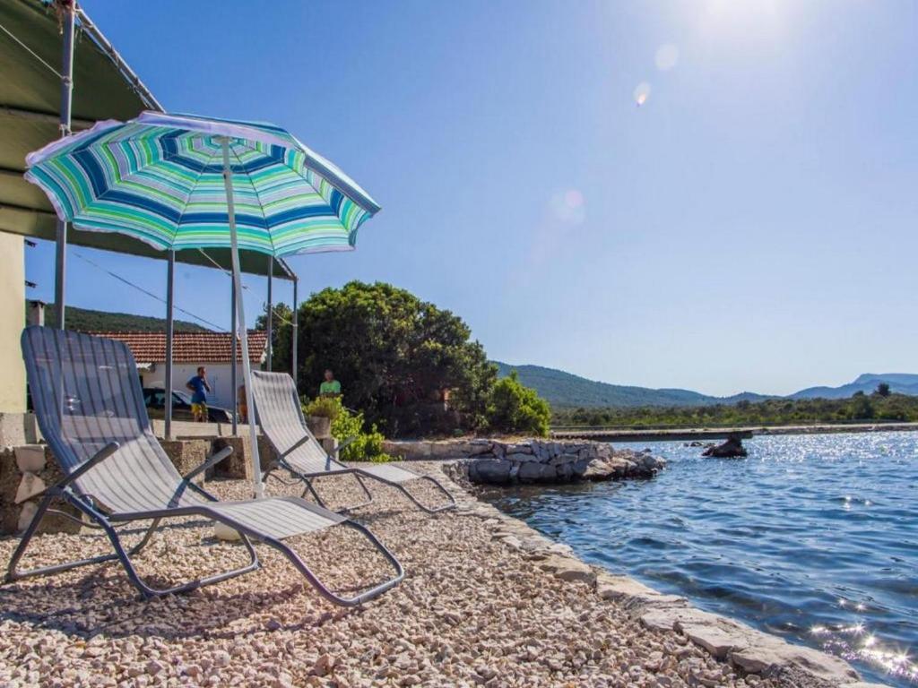 Příroda nedaleko apartmánu