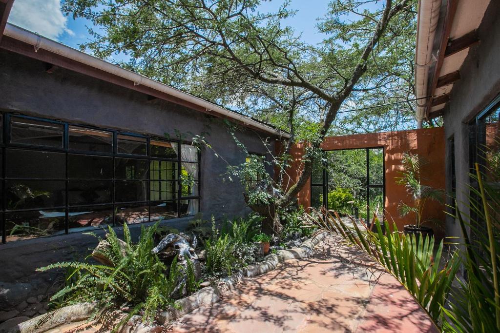 an exterior view of a house with a tree at Punda Milias Lodge in Nakuru