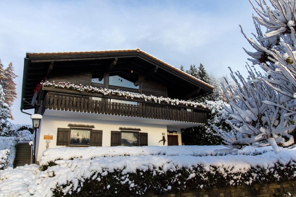 a house in the snow with snow covered trees at Apartment Schönblick in Verditz