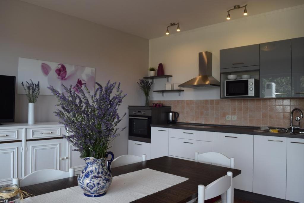 Kuchyňa alebo kuchynka v ubytovaní Apartment in Banjol with balcony, air conditioning, WiFi, dishwasher 4888-1
