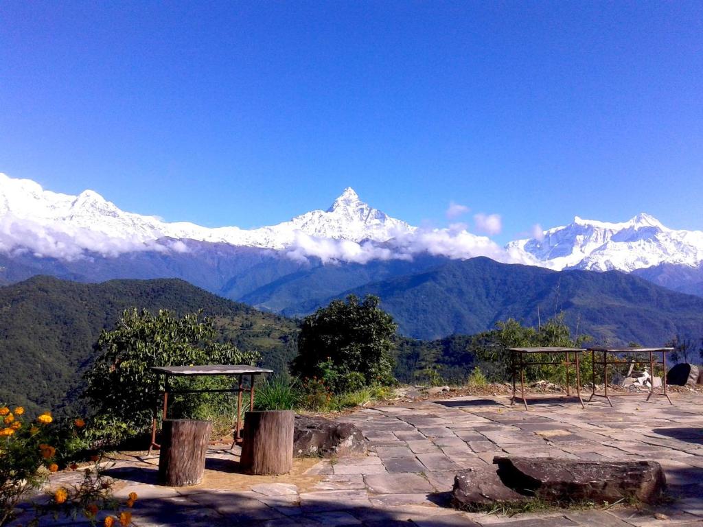 deurali tours and travels pokhara